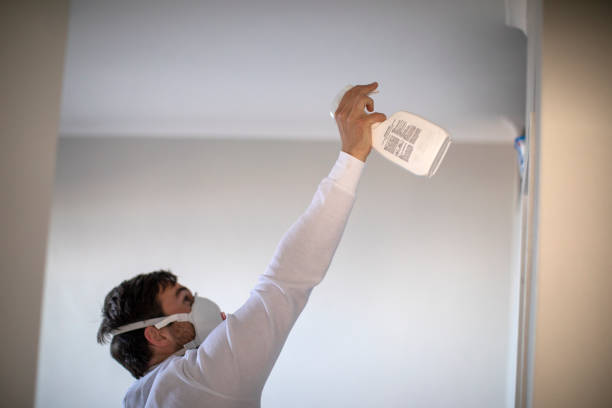 Best Kitchen Mold Remediation in Old Jamestown, MO