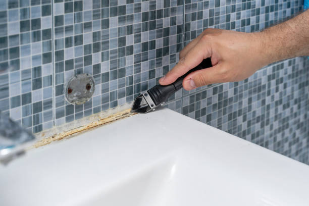 Best White Mold Remediation in Old Jamestown, MO